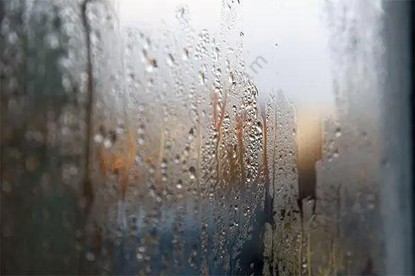 梅雨？霉雨？何不霉？